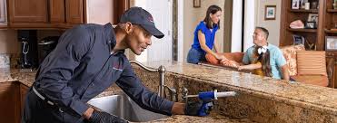 Best Residential Pest Control  in Riverdale, IL